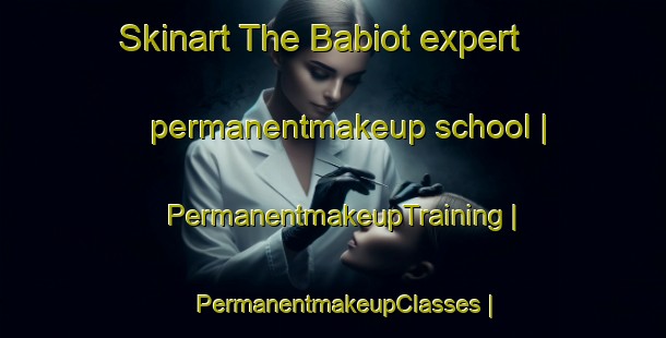 Skinart The Babiot expert permanentmakeup school | PermanentmakeupTraining | PermanentmakeupClasses | SkinartTraining-France
